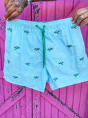 Costume Turtle Water Green